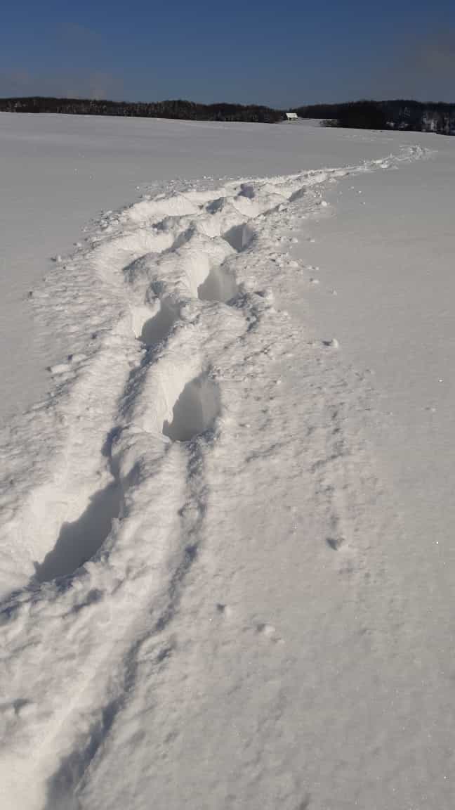 Fußspuren im Schnee bei blauem Himmel