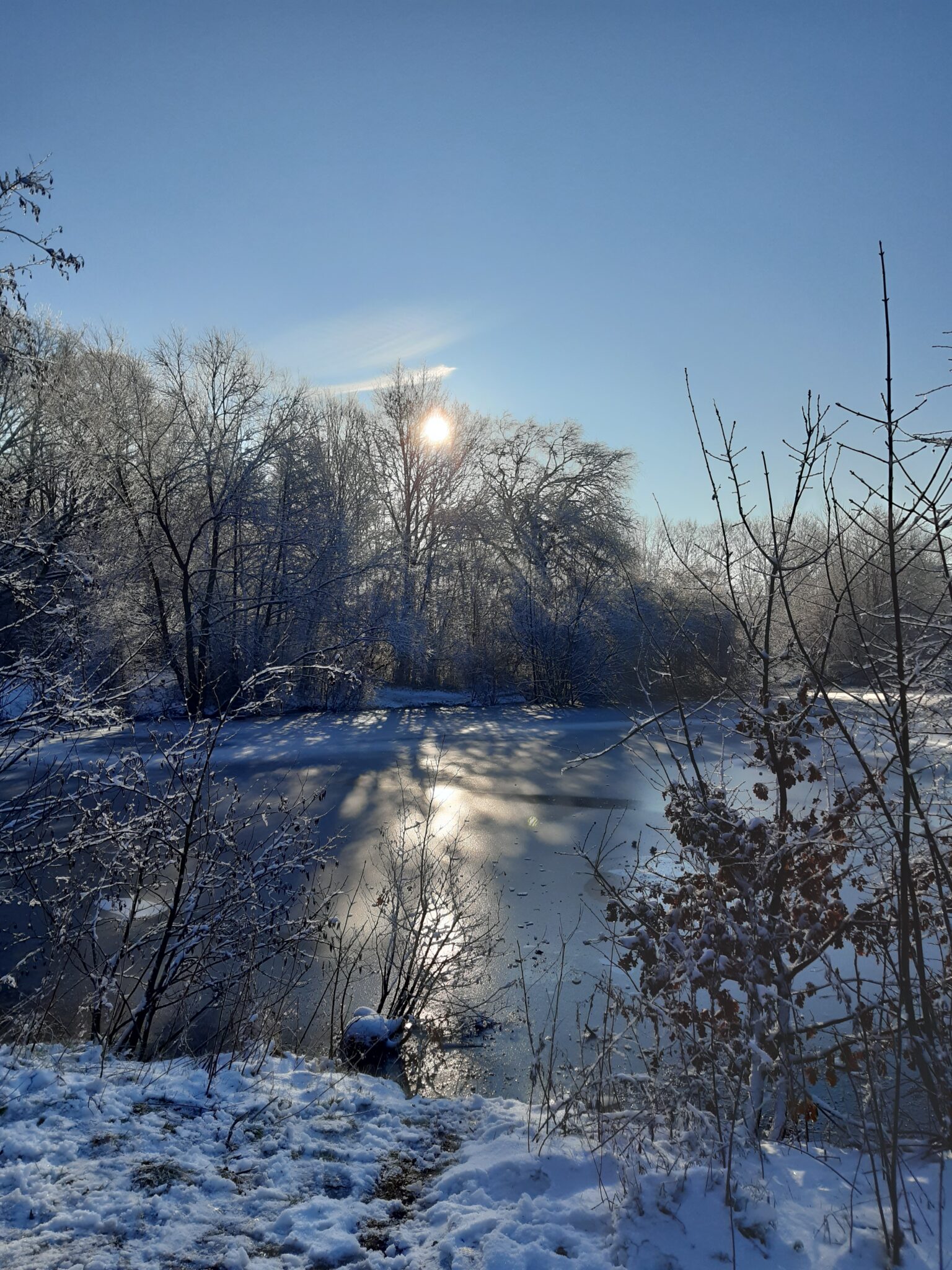 Foto eines Oldenburger Sees im Schnee - die Sonne scheint durch die Bäume